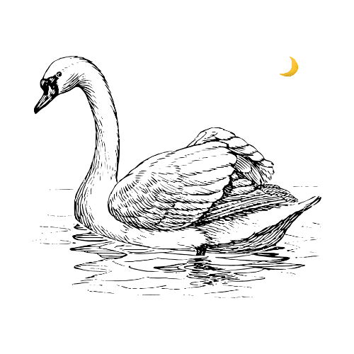 Frith Nightswan Enterprises Logo Alternative